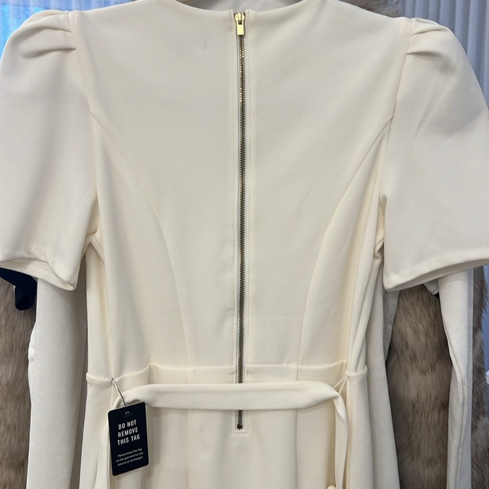 NWT Express Midi Dress - Picture 4 of 5